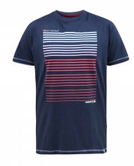 D555 Cransford Gradient Line Printed T-Shirt