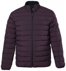 JP1880 828991 Giacca trapuntata con collo alto Prugna