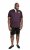 D555 NASH Short Sleeve Rugby Shirt Burgundy - Polo - Polo Uomo Taglie Forti