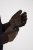 JP1880 811683 Guanti in pelle Marrone - Guanti - 