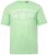 Men+ 424 T-shirt Trout Trophy Verde menta - Magliette - Magliette Uomo Taglie Forti
