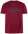 Men+ 448 T-shirt Endless Coast Marrone rame - Magliette - Magliette Uomo Taglie Forti