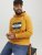 Jack & Jones Codyy Hoodie Yellow - Felpe & felpe con cappuccio - Felpe & Felpe con Cappuccio Uomo Taglie Forti