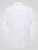 D555 James Camicia Oxford A Maniche Corte TALL Bianca - TALL camicie - 