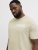 Jack & Jones Blaneo Short Sleeve T-shirt Beige - Magliette - Magliette Uomo Taglie Forti