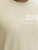 Jack & Jones Blaneo Short Sleeve T-shirt Beige - Magliette - Magliette Uomo Taglie Forti