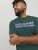 Jack & Jones Codyy T-Shirt Green - Magliette - Magliette Uomo Taglie Forti