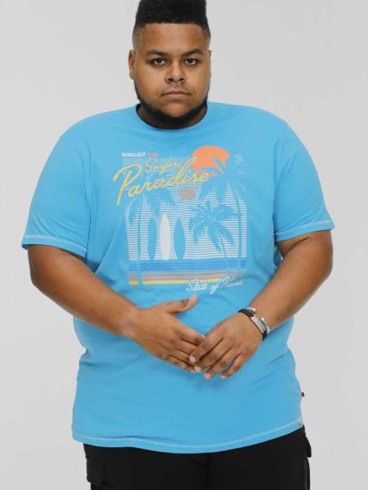 D555 AARON Surfers Paradise Printed Crew Neck T-Shirt Turquoise - Magliette - Magliette Uomo Taglie Forti