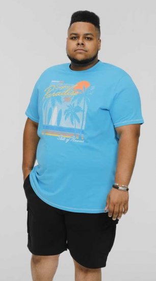 D555 AARON Surfers Paradise Printed Crew Neck T-Shirt Turquoise - Magliette - Magliette Uomo Taglie Forti
