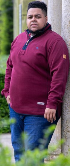 D555 HIRALDO Quarter Neck Pique Fleece Sweatshirt With Chest Embroidery Red - Felpe & felpe con cappuccio - Felpe & Felpe con Cappuccio Uomo Taglie Forti