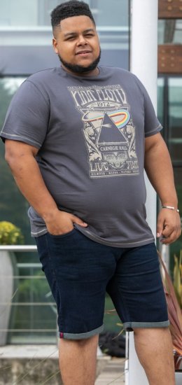 D555 HANLEY Official Pink Floyd Crew Neck T-Shirt Dark Grey TALL SIZES - ABBIGLIAMENTO UOMO MT-6XLT - Taglie Tall Uomo
