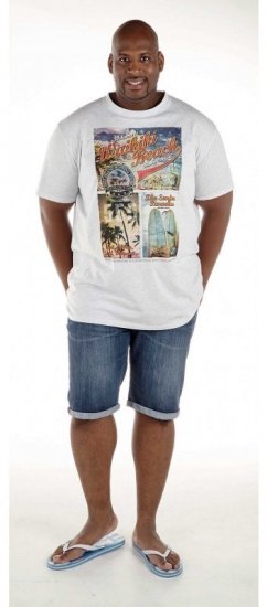 D555 Winthorp T-shirt White - Magliette - Magliette Uomo Taglie Forti