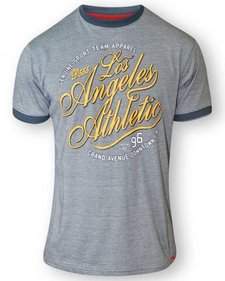 D555 IRVIN Athletic T-Shirt Grey - Magliette - Magliette Uomo Taglie Forti