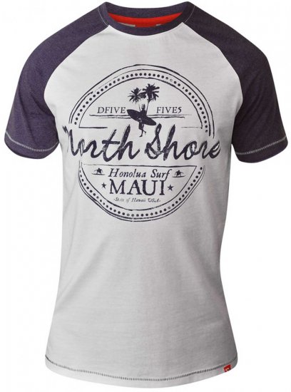 D555 JAYSON Raglan Crew Neck T-Shirt Grey - Magliette - Magliette Uomo Taglie Forti