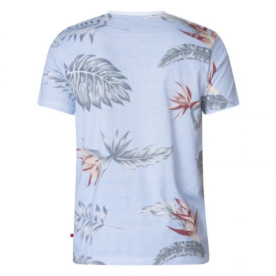 D555 Rufus T-shirt Blue - Magliette - Magliette Uomo Taglie Forti
