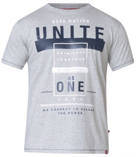 D555 Phillip T-shirt Grey - Magliette - Magliette Uomo Taglie Forti
