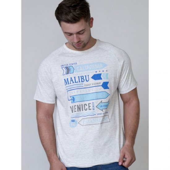 D555 Norris T-shirt Grey - Magliette - Magliette Uomo Taglie Forti