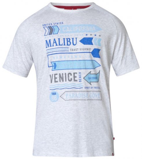 D555 Norris T-shirt Grey - Magliette - Magliette Uomo Taglie Forti