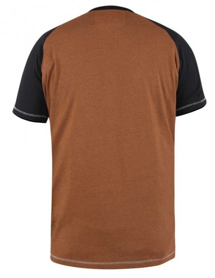 D555 Charmouth Raglan Sleeve Printed T-Shirt - Magliette - Magliette Uomo Taglie Forti