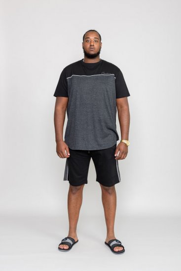 D555 NEWBURY T-Shirt - Magliette - Magliette Uomo Taglie Forti