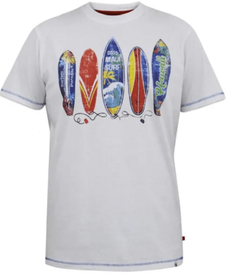 D555 Bridgford t-shirt con stampa surf bianca - Magliette - Magliette Uomo Taglie Forti