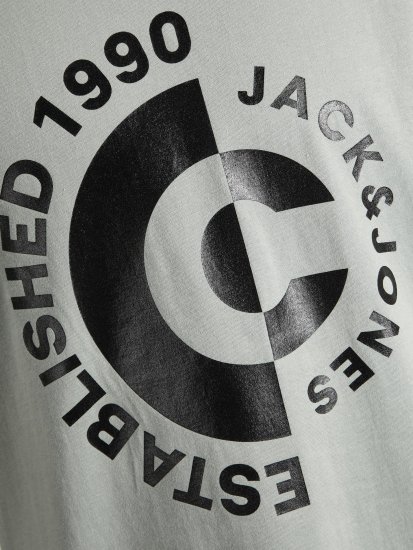 Jack & Jones JCOSPRING T-Shirt Gray - Magliette - Magliette Uomo Taglie Forti