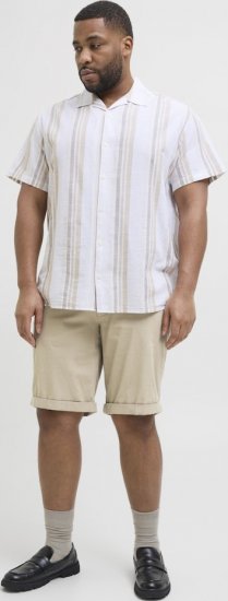 Jack & Jones Dave Chino Shorts Beige - Shorts - Pantaloncini Uomo Taglie Forti