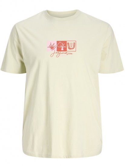 Jack & Jones Canggu Crew Neck T-Shirt Celadon Tint - Magliette - Magliette Uomo Taglie Forti