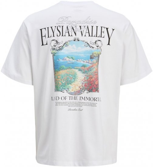 Jack & Jones Parallel Crew Neck T-Shirt Bright White - Magliette - Magliette Uomo Taglie Forti