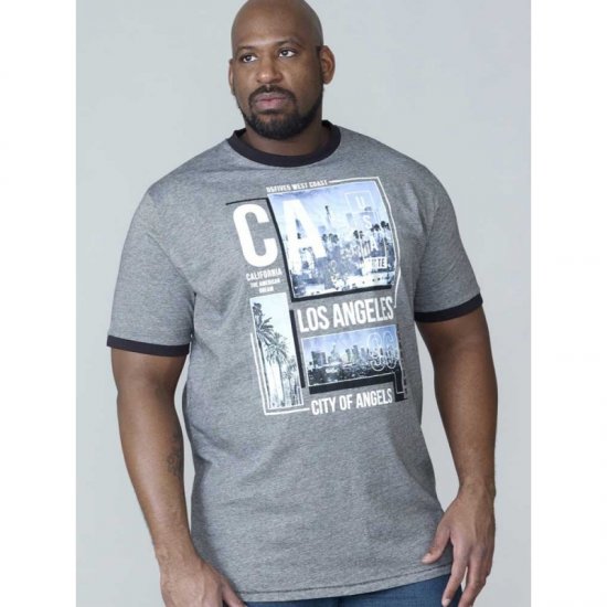 D555 Howie Fine Stripe T-shirt Grey - Magliette - Magliette Uomo Taglie Forti