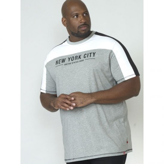 D555 Alvester T-shirt Grey - Magliette - Magliette Uomo Taglie Forti