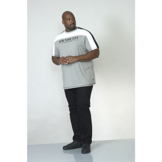 D555 Alvester T-shirt Grey - Magliette - Magliette Uomo Taglie Forti