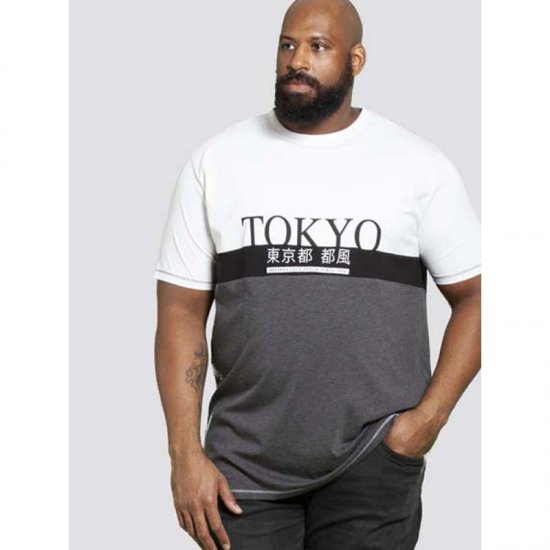 D555 Morris T-shirt Charcoal - Magliette - Magliette Uomo Taglie Forti