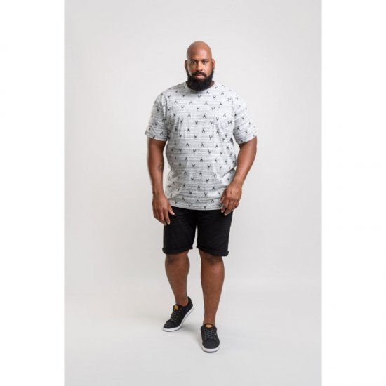 D555 Dario T-shirt Grey - Magliette - Magliette Uomo Taglie Forti