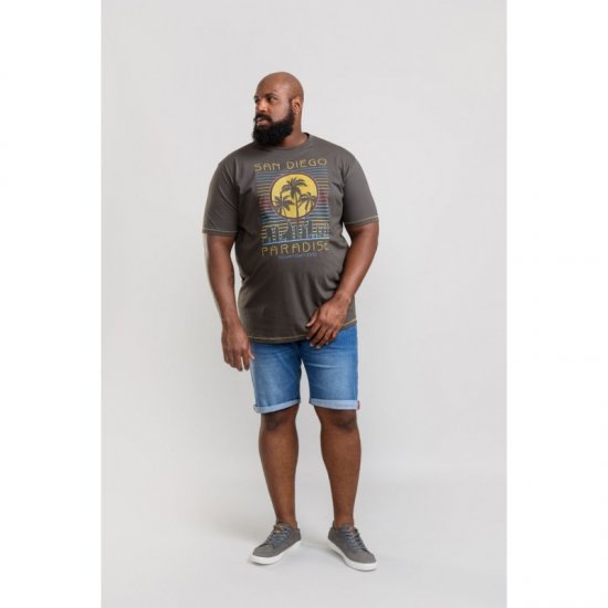 D555 Stanley T-shirt Khaki - Magliette - Magliette Uomo Taglie Forti