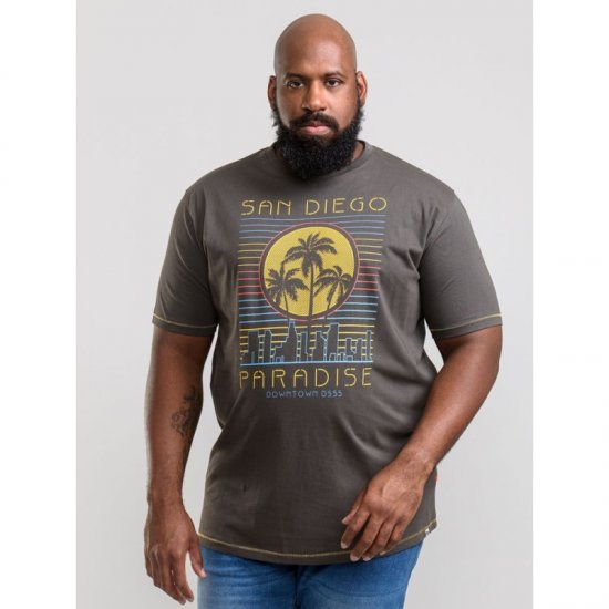 D555 Stanley T-shirt Khaki - Magliette - Magliette Uomo Taglie Forti