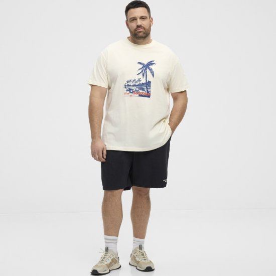 North Latitude T-Shirt Printed Off-White - Magliette - Magliette Uomo Taglie Forti