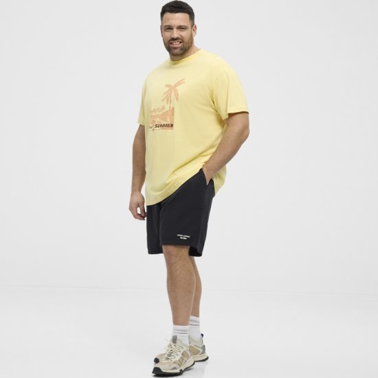 North Latitude T-Shirt Printed Yellow - Magliette - Magliette Uomo Taglie Forti
