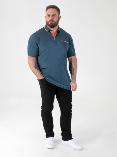 D555 Harvey Pique with Jacquard Collar & Cuffs Polo Teal - Polo - Polo Uomo Taglie Forti