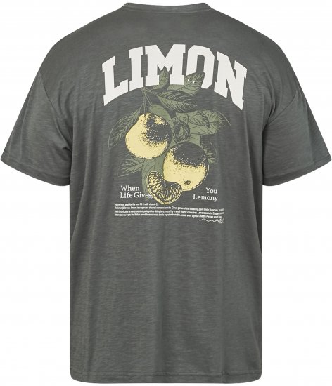 North Latitude 61317 T-Shirt Slub Con Stampa Sul Retro Verde Polvere Scuro - Magliette - Magliette Uomo Taglie Forti